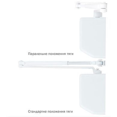 , Білий