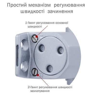 Доводчик RYOBI D-2055V BC STD до 100кг FIRE Серый