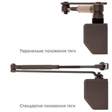 , Коричневий