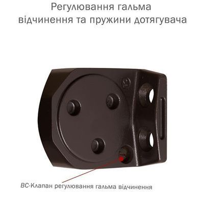 Доводчик RYOBI D-2050T BC SLD до 60кг FIRE Коричневый