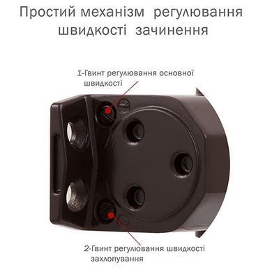 Доводчик RYOBI D-2050T BC SLD до 60кг FIRE Коричневый