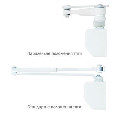 , Білий