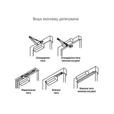 , Білий