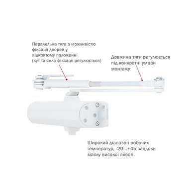 , Білий