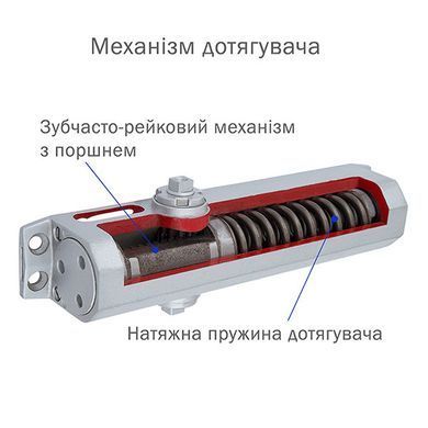 , Білий