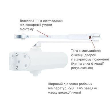 , Білий