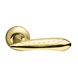 Ручка дверная Armadillo Corvus LD35-1SG/GP-4 матовое золото/золото