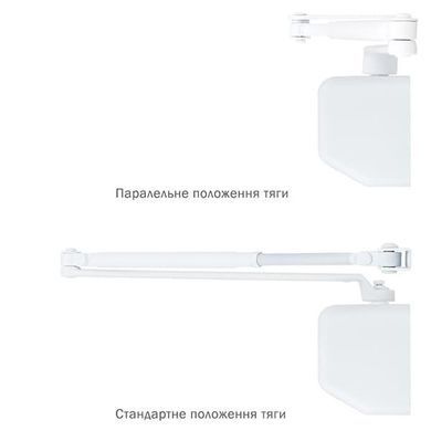 , Білий