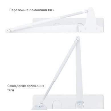 , Білий